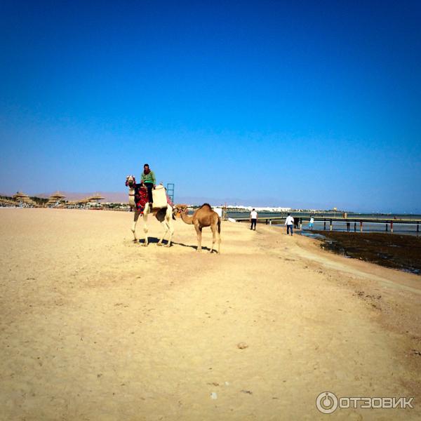 Отель Magic Life Sharm 5* (Египет, Шарм-эль-Шейх) фото