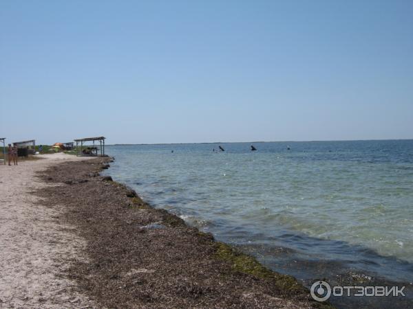 Отдых в г. Скадовск (Украина, Херсонская область) фото