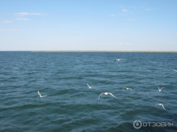 Отдых в г. Скадовск (Украина, Херсонская область) фото