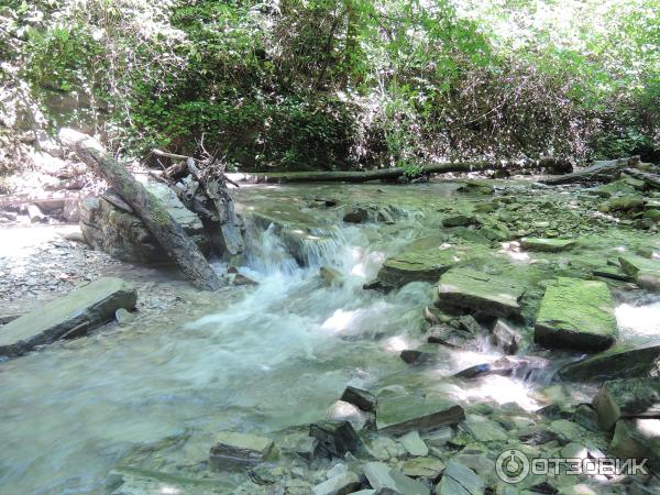 Экскурсия на Пшадские водопады (Россия, Геленджик) фото