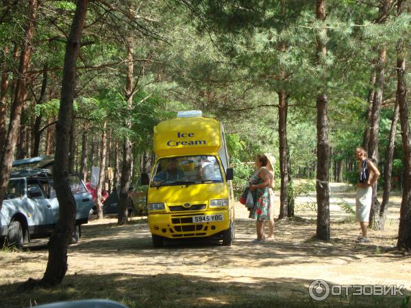 Отдых на Голубых Озерах в пос. Олешня (Украина, Черниговская область) фото