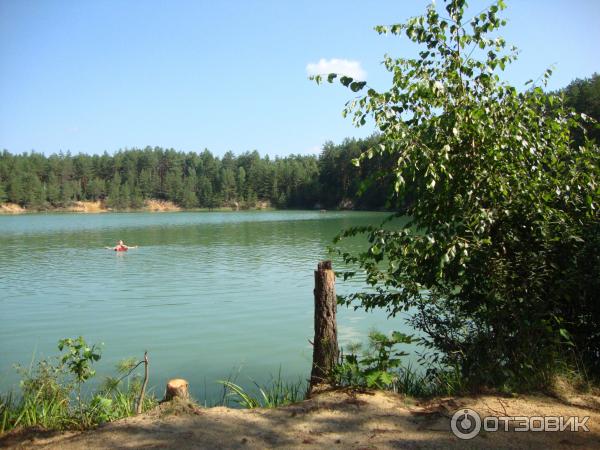 Отдых на Голубых Озерах в пос. Олешня (Украина, Черниговская область) фото
