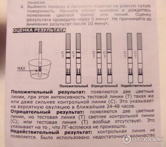 Когда и как делать тест на овуляцию?