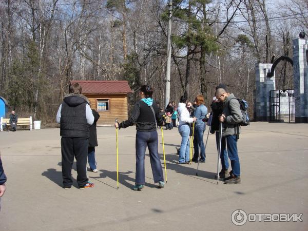 Скандинавская ходьба фото