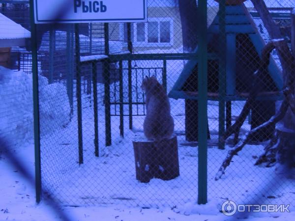 Парк лесоводов Башкортостана (Россия, Уфа) фото