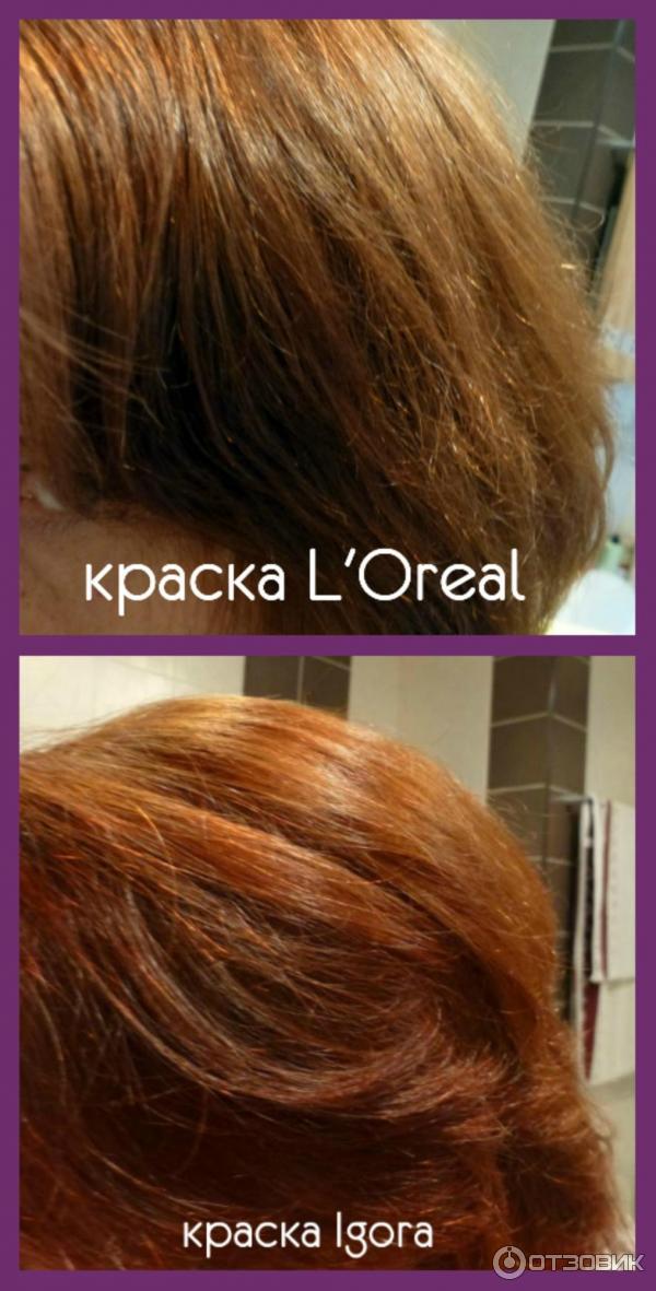 Краска для волос L'Oreal Casting Creme Gloss фото