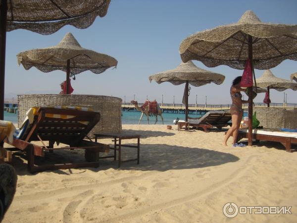 Отель Dessole Piramisa Sahl Hasheesh 5* (Египет, Хургада) фото