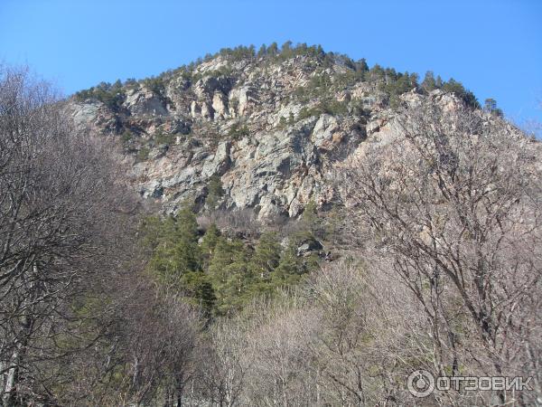 Тебердинский заповедник (Россия, Карачаево-Черкессия) фото