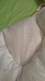 Одеяло Alvitek Бамбук Люкс фото