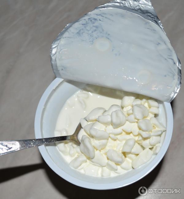 Приготовить зерновой творог. Зерновой творог. Творог со сливками. Зернистый творог. Творог крупнозернистый.