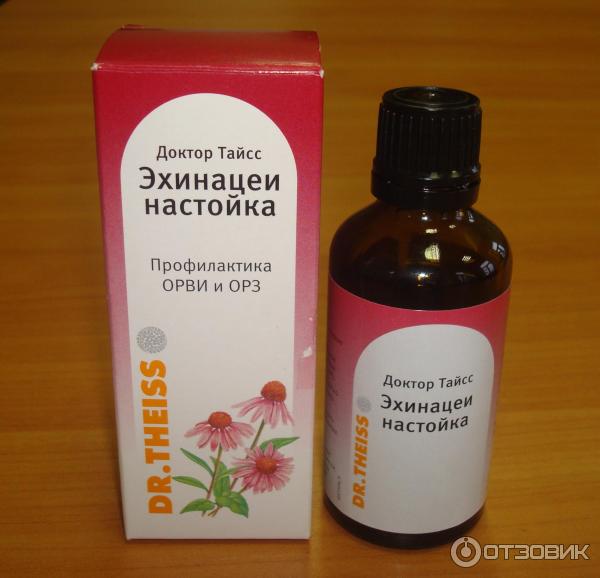 Настойка Эхинацеи Инструкция По Применению Цена
