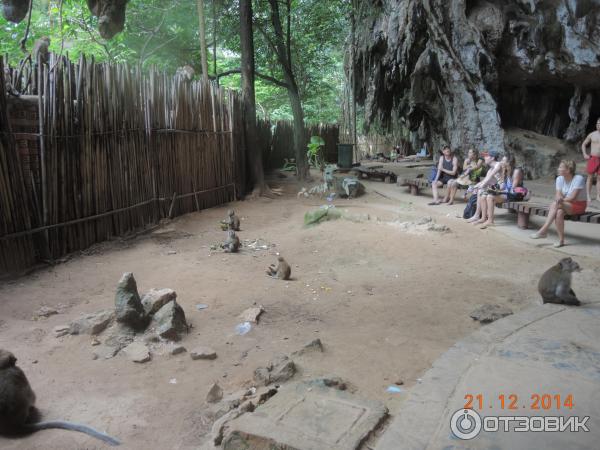 Обезьяны на пляже Phra Nang