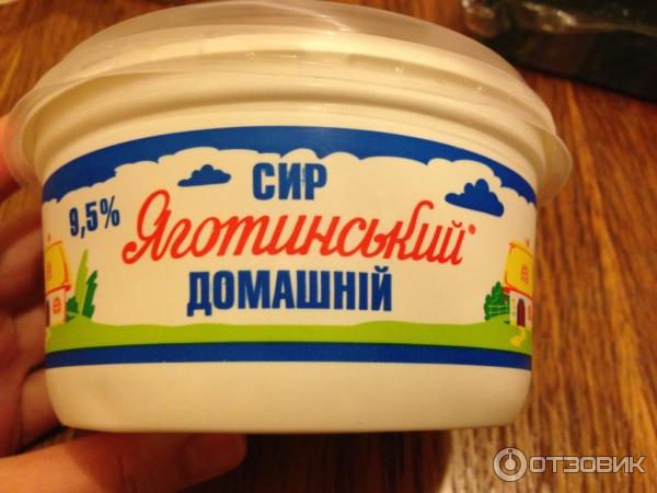 Сыр кисломолочный Яготинский Домашний 9,5% фото