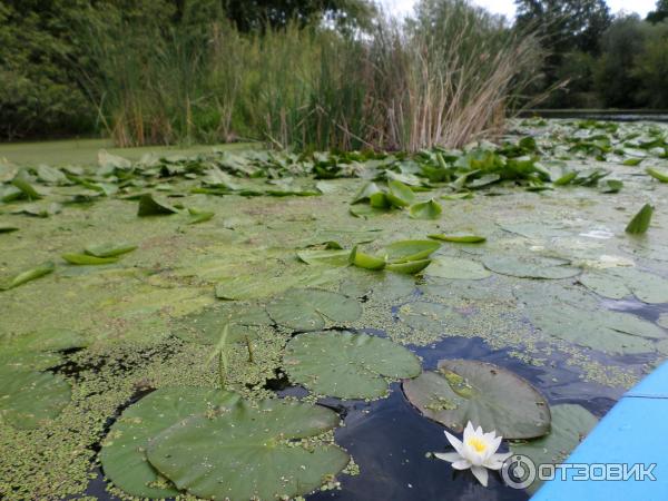 Сплав на байдарках по реке Северский Донец (Украина, Харьковская область) фото