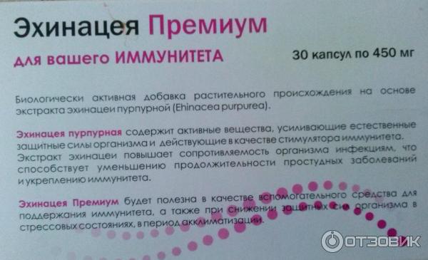 Эхинацея Таблетки Цена Инструкция