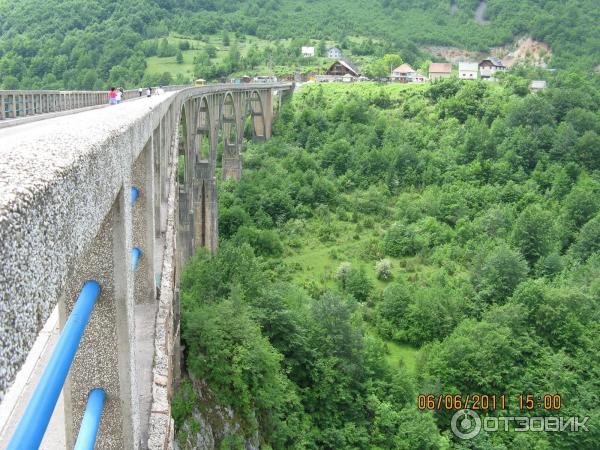 Экскурсия Каньоны (Черногория) фото