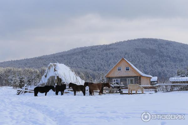 Где Отдохнуть В Башкирии Зимой Недорого