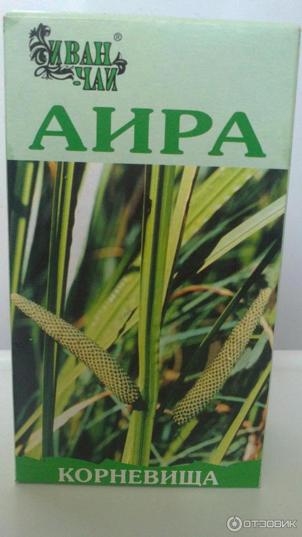 Корней Аира Где Купить