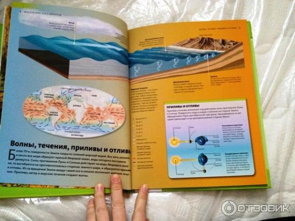 Книга Discovery Education Морской берег и его обитатели - издательство Махаон фото