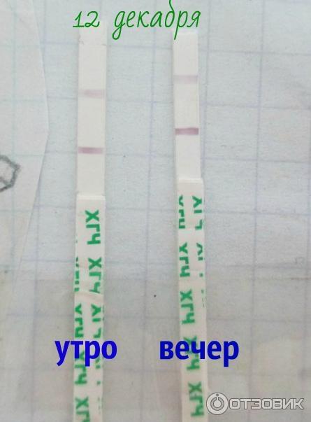 Как и когда делать тест на беременность - Горящая изба