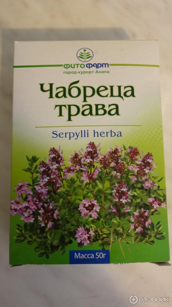 Влияние чабреца. Чабрец Сибирский. Лечебные травы чабрец. Трава тимьяна ползучего. Тимьян чабрец лекарственный.