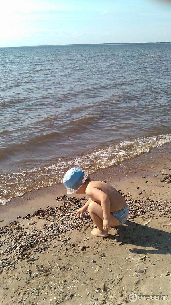 База отдыха Причудье (Россия, Ленинградская область) фото