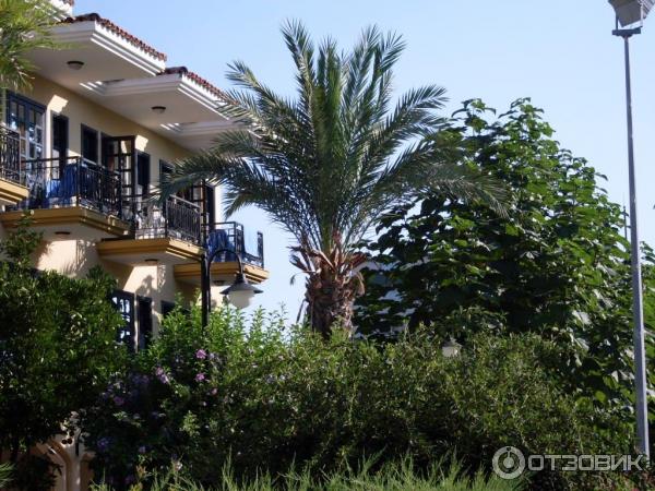 Отдых в поселке Текирова, (Турция) фото