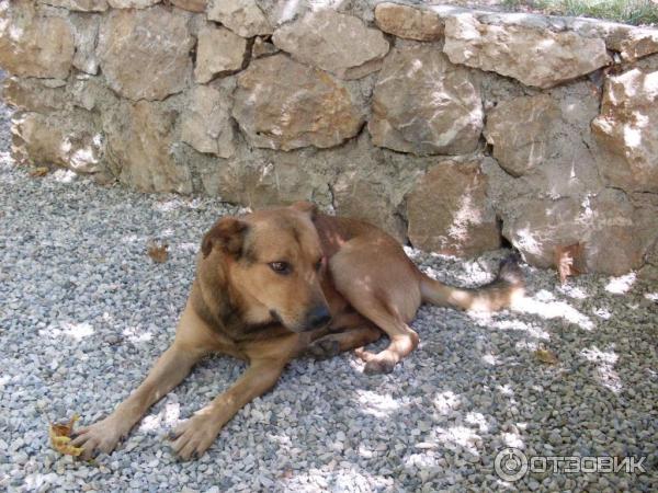 Отдых в поселке Текирова, (Турция) фото