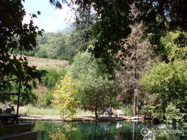 Отдых в поселке Текирова, (Турция) фото