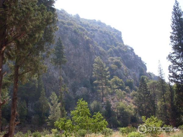 Отдых в поселке Текирова, (Турция) фото