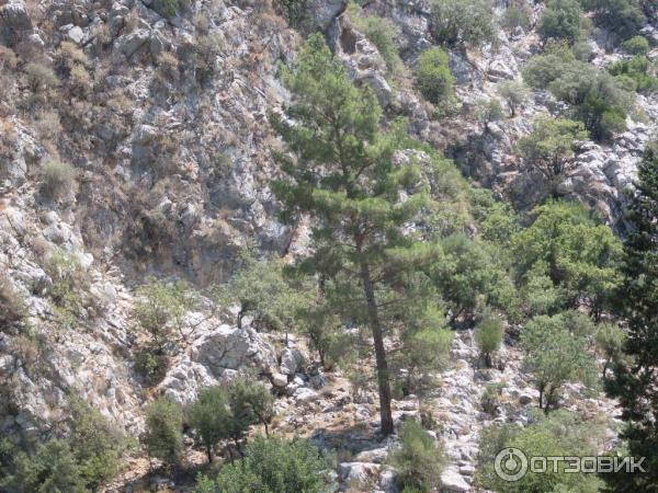 Отдых в поселке Текирова, (Турция) фото