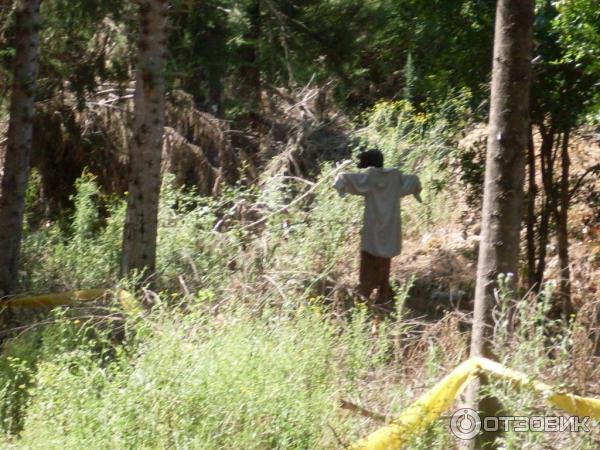 Отдых в поселке Текирова, (Турция) фото