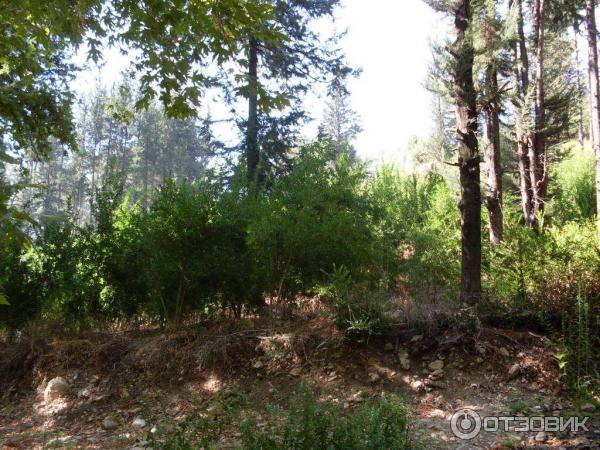 Отдых в поселке Текирова, (Турция) фото