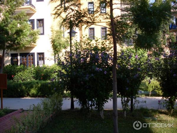 Отдых в поселке Текирова, (Турция) фото