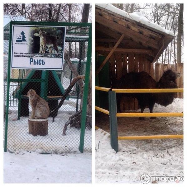 Парк лесоводов Башкортостана (Россия, Уфа) фото