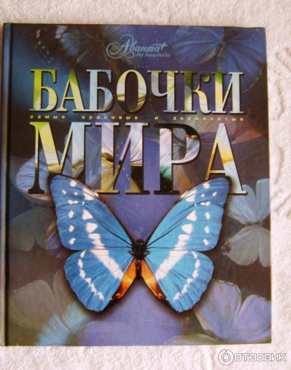 Книга Бабочки мира: самые красивые и знаменитые Аванта + Астрель фото