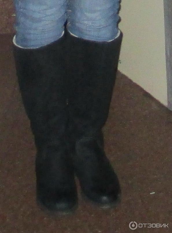 Ecco Northway
