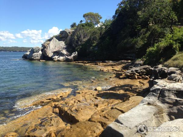 Парк Sydney Habour National Park. Southern Head (Австралия, Сидней) фото