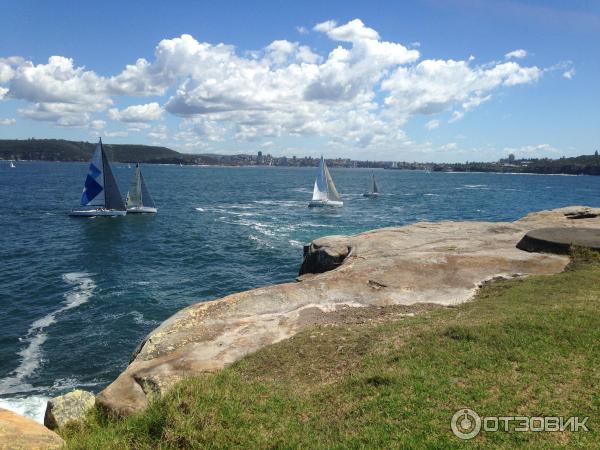 Парк Sydney Habour National Park. Southern Head (Австралия, Сидней) фото