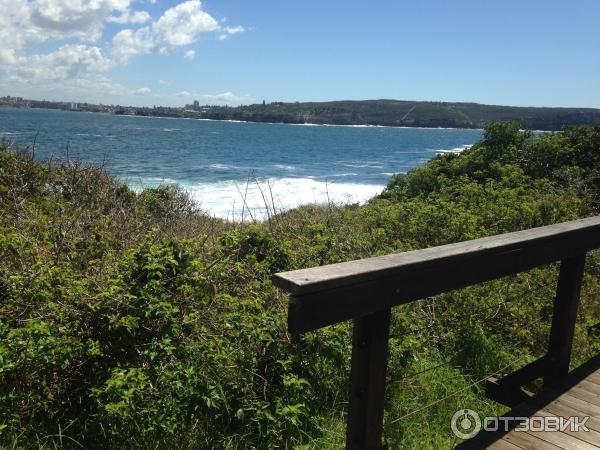 Парк Sydney Habour National Park. Southern Head (Австралия, Сидней) фото