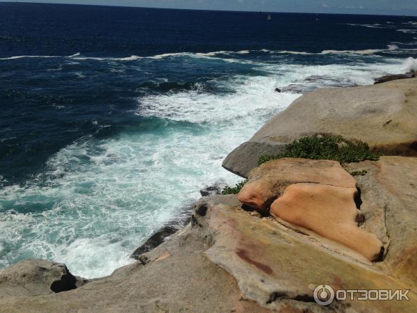 Парк Sydney Habour National Park. Southern Head (Австралия, Сидней) фото