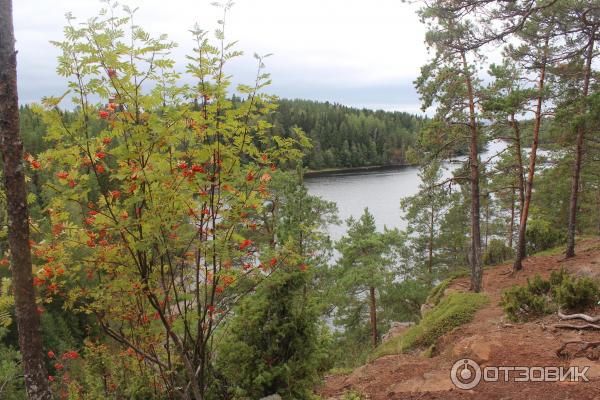 Экскурсия на о. Валаам (Россия, Карелия) фото