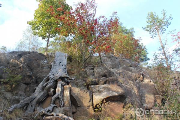 Экскурсия на о. Валаам (Россия, Карелия) фото