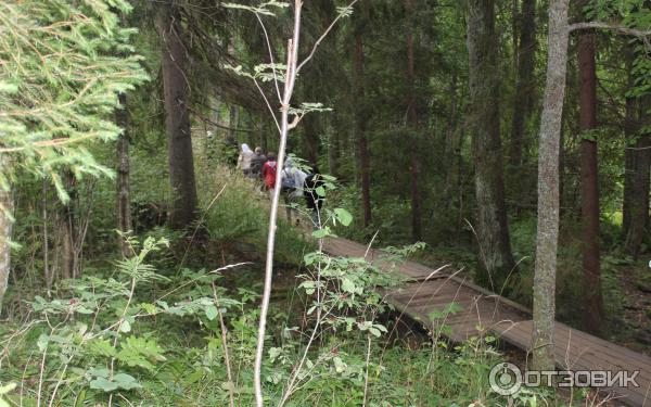 Экскурсия на о. Валаам (Россия, Карелия) фото