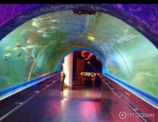 Океанариум уральская ул 98 11 фото