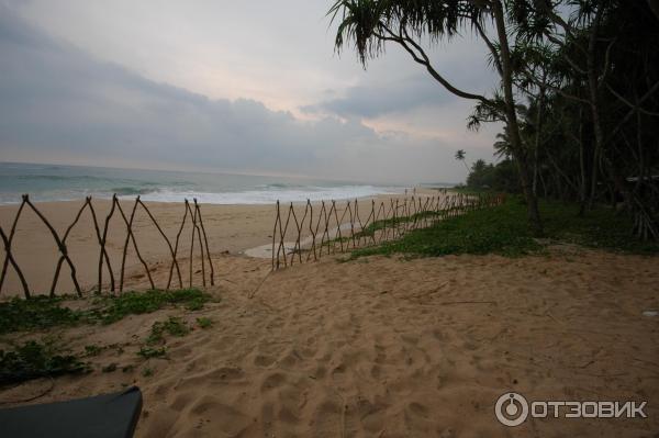 Отель Koggala beach 3* фото