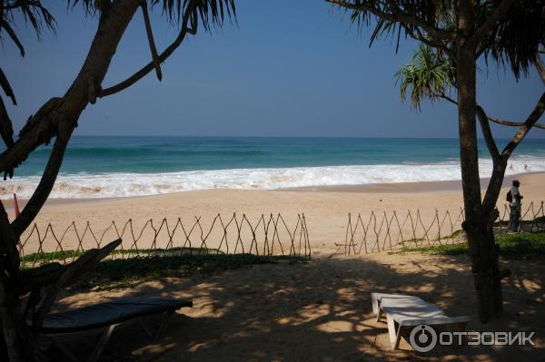 Отель Koggala beach 3* фото