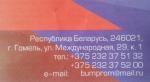 Обои виниловые на флизелиновой основе BelVinil "Premium" фото