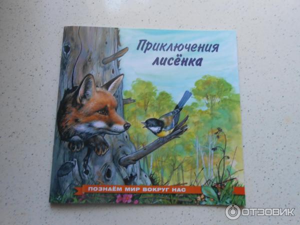 Книга Приключения лисенка Познаем мир вокруг нас - И. Гурина фото