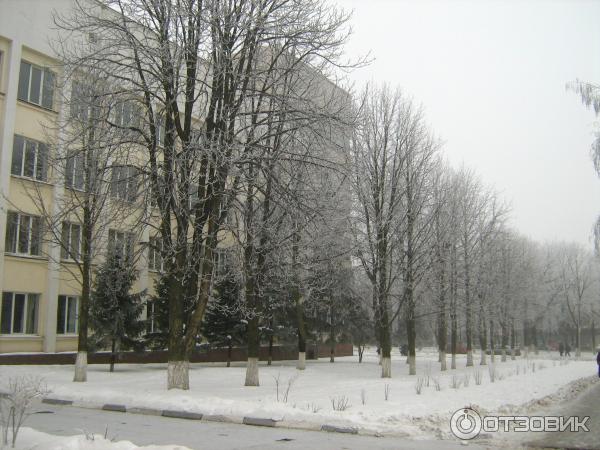 Цифровой фотоаппарат Canon PowerShot A460